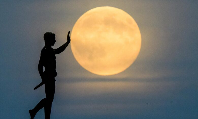 Großer Vollmond am Abendhimmel